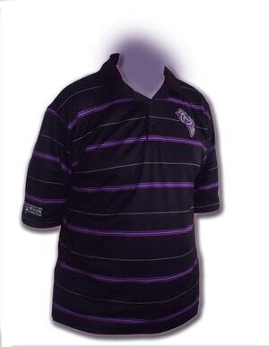 2008-09 polo shirt front